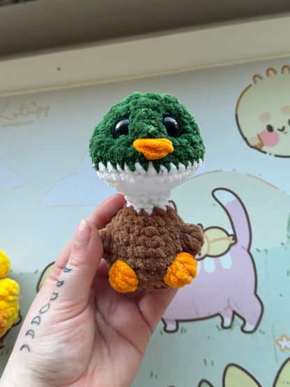 Popping birdy plushie- choose your bird