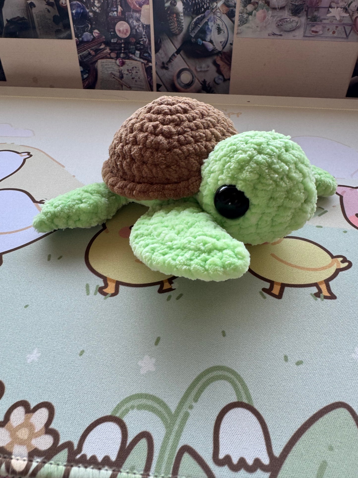 Turtles pre-made