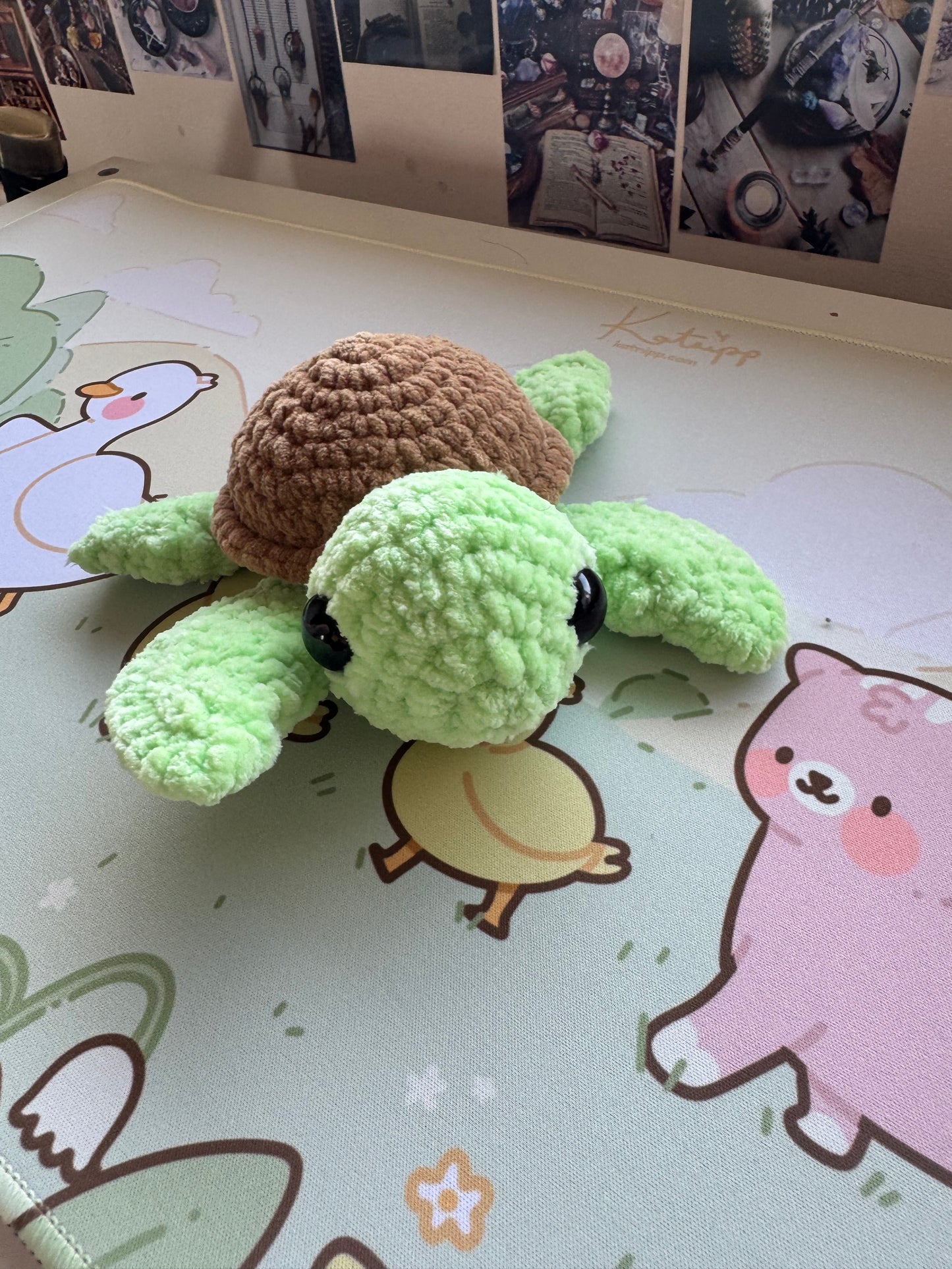 Turtles pre-made