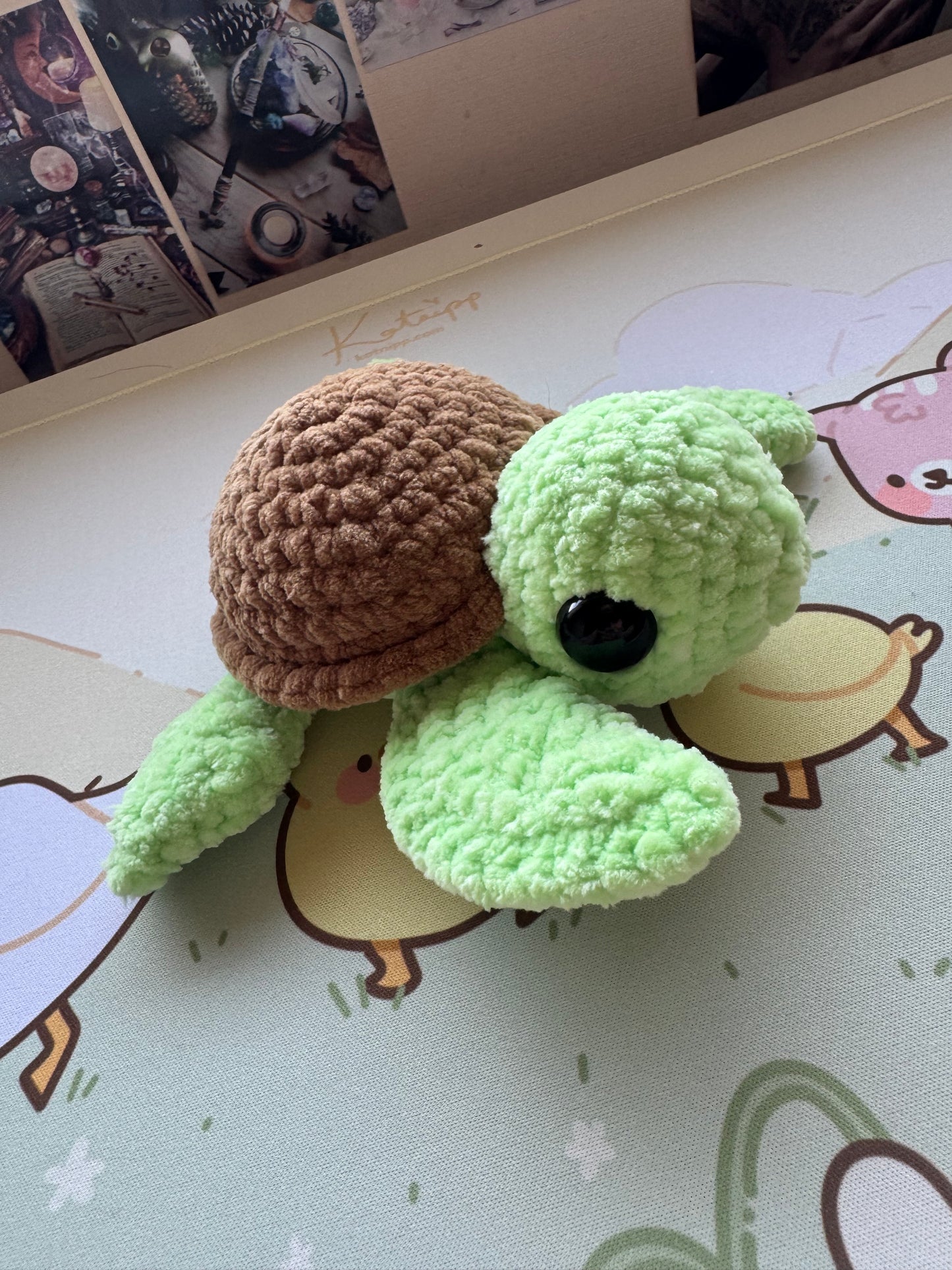 Turtles pre-made